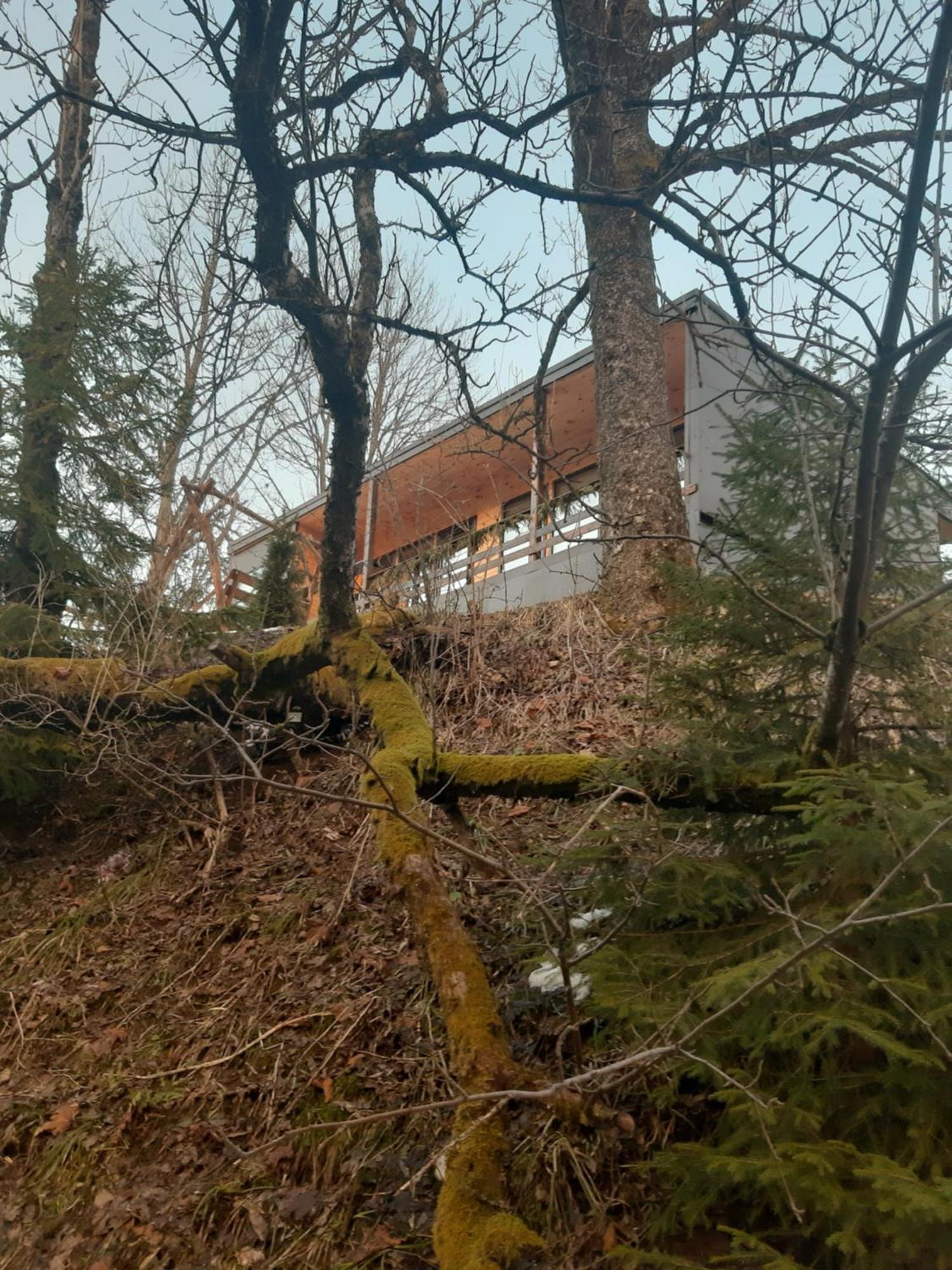 Oryavchik Country House 오르야브치크 객실 사진